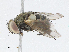  ( - CBG-A04554-G07)  @11 [ ] CreativeCommons - Attribution (2023) CBG Photography Group Centre for Biodiversity Genomics