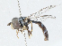  ( - CBG-A04554-G10)  @11 [ ] CreativeCommons - Attribution (2023) CBG Photography Group Centre for Biodiversity Genomics