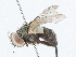  ( - CBG-A04556-B10)  @11 [ ] CreativeCommons - Attribution (2023) CBG Photography Group Centre for Biodiversity Genomics