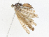  ( - CBG-A04558-A02)  @11 [ ] CreativeCommons - Attribution (2023) CBG Photography Group Centre for Biodiversity Genomics