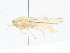  ( - CBG-A04560-G08)  @11 [ ] CreativeCommons - Attribution (2023) CBG Photography Group Centre for Biodiversity Genomics