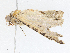  ( - CBG-A04561-E03)  @11 [ ] CreativeCommons - Attribution (2023) CBG Photography Group Centre for Biodiversity Genomics