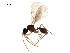  (Strumigenys elongata - BIOUG45005-A06)  @13 [ ] CreativeCommons - Attribution (2019) CBG Photography Group Centre for Biodiversity Genomics