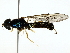  ( - BIOUG70312-H07)  @11 [ ] CreativeCommons - Attribution (2022) CBG Photography Group Centre for Biodiversity Genomics