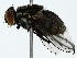  ( - BIOUG80116-E10)  @11 [ ] CreativeCommons - Attribution (2022) CBG Photography Group Centre for Biodiversity Genomics