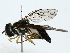  ( - BIOUG80116-F09)  @13 [ ] CreativeCommons - Attribution (2022) CBG Photography Group Centre for Biodiversity Genomics