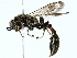  ( - BIOUG85262-E08)  @11 [ ] CreativeCommons - Attribution (2022) CBG Photography Group Centre for Biodiversity Genomics