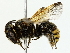 ( - BIOUG85502-C02)  @11 [ ] CreativeCommons - Attribution (2022) CBG Photography Group Centre for Biodiversity Genomics