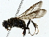  ( - BIOUG85502-C12)  @11 [ ] CreativeCommons - Attribution (2022) CBG Photography Group Centre for Biodiversity Genomics
