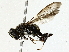  ( - BIOUG85502-H03)  @11 [ ] CreativeCommons - Attribution (2022) CBG Photography Group Centre for Biodiversity Genomics