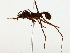  ( - BIOUG85521-H04)  @11 [ ] CreativeCommons - Attribution (2022) CBG Photography Group Centre for Biodiversity Genomics