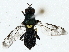  ( - BIOUG85522-D08)  @11 [ ] CreativeCommons - Attribution (2022) CBG Photography Group Centre for Biodiversity Genomics