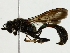  ( - BIOUG85522-G02)  @11 [ ] CreativeCommons - Attribution (2022) CBG Photography Group Centre for Biodiversity Genomics