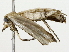  ( - BIOUG85523-G02)  @11 [ ] CreativeCommons - Attribution (2022) CBG Photography Group Centre for Biodiversity Genomics