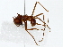  ( - BIOUG85523-G10)  @11 [ ] CreativeCommons - Attribution (2022) CBG Photography Group Centre for Biodiversity Genomics