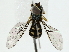  ( - BIOUG85524-E04)  @13 [ ] CreativeCommons - Attribution (2022) CBG Photography Group Centre for Biodiversity Genomics