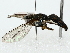  ( - BIOUG85524-E07)  @13 [ ] CreativeCommons - Attribution (2022) CBG Photography Group Centre for Biodiversity Genomics