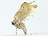  ( - BIOUG89934-C12)  @11 [ ] CreativeCommons - Attribution (2022) CBG Photography Group Centre for Biodiversity Genomics