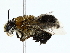  ( - BIOUG89934-F04)  @11 [ ] CreativeCommons - Attribution (2022) CBG Photography Group Centre for Biodiversity Genomics