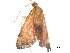  ( - BIOUG44450-G05)  @11 [ ] CreativeCommons - Attribution (2019) CBG Photography Group Centre for Biodiversity Genomics