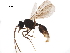  (Octostruma trithrix - BIOUG44906-H07)  @15 [ ] CreativeCommons - Attribution (2019) CBG Photography Group Centre for Biodiversity Genomics