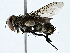  ( - BIOUG70314-F09)  @11 [ ] CreativeCommons - Attribution (2022) CBG Photography Group Centre for Biodiversity Genomics