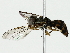  ( - BIOUG85524-F03)  @13 [ ] CreativeCommons - Attribution (2022) CBG Photography Group Centre for Biodiversity Genomics