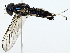  ( - BIOUG85525-F04)  @11 [ ] CreativeCommons - Attribution (2022) CBG Photography Group Centre for Biodiversity Genomics