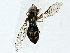  ( - BIOUG85526-D11)  @13 [ ] CreativeCommons - Attribution (2022) CBG Photography Group Centre for Biodiversity Genomics