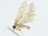  ( - BIOUG91370-G07)  @11 [ ] CreativeCommons - Attribution (2022) CBG Photography Group Centre for Biodiversity Genomics