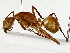  ( - BIOUG91371-G01)  @11 [ ] CreativeCommons - Attribution (2022) CBG Photography Group Centre for Biodiversity Genomics