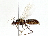  ( - BIOUG91373-H04)  @11 [ ] CreativeCommons - Attribution (2022) CBG Photography Group Centre for Biodiversity Genomics
