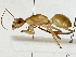  ( - BIOUG91379-G02)  @11 [ ] CreativeCommons - Attribution (2022) CBG Photography Group Centre for Biodiversity Genomics