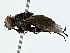  ( - BIOUG91380-D05)  @11 [ ] CreativeCommons - Attribution (2022) CBG Photography Group Centre for Biodiversity Genomics
