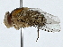  ( - BIOUG91383-G10)  @11 [ ] CreativeCommons - Attribution (2022) CBG Photography Group Centre for Biodiversity Genomics