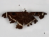  ( - CBG-A10793-D05)  @11 [ ] CreativeCommons - Attribution Share - Alike (2023) CBG Photography Group Centre for Biodiversity Genomics