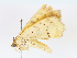  ( - CBG-A10793-D06)  @11 [ ] CreativeCommons - Attribution Share - Alike (2023) CBG Photography Group Centre for Biodiversity Genomics