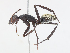  ( - CBG-A10793-G02)  @11 [ ] CreativeCommons - Attribution Share - Alike (2023) CBG Photography Group Centre for Biodiversity Genomics