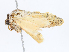  ( - CBG-A10794-A04)  @11 [ ] CreativeCommons - Attribution Share - Alike (2023) CBG Photography Group Centre for Biodiversity Genomics