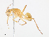  ( - CBG-A10832-G05)  @11 [ ] CreativeCommons - Attribution Share - Alike (2023) CBG Photography Group Centre for Biodiversity Genomics