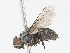  ( - CBG-A10834-A08)  @11 [ ] CreativeCommons - Attribution Share - Alike (2023) CBG Photography Group Centre for Biodiversity Genomics