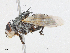  ( - CBG-A10834-E03)  @11 [ ] CreativeCommons - Attribution Share - Alike (2023) CBG Photography Group Centre for Biodiversity Genomics
