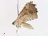  ( - CBG-A10835-B01)  @11 [ ] CreativeCommons - Attribution Share - Alike (2023) CBG Photography Group Centre for Biodiversity Genomics