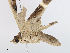 ( - CBG-A10835-E01)  @11 [ ] CreativeCommons - Attribution Share - Alike (2023) CBG Photography Group Centre for Biodiversity Genomics