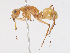  ( - CBG-A10835-F02)  @11 [ ] CreativeCommons - Attribution Share - Alike (2023) CBG Photography Group Centre for Biodiversity Genomics