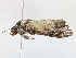  ( - CBG-A10836-G05)  @11 [ ] CreativeCommons - Attribution Share - Alike (2023) CBG Photography Group Centre for Biodiversity Genomics