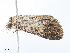  ( - CBG-A10836-H08)  @11 [ ] CreativeCommons - Attribution Share - Alike (2023) CBG Photography Group Centre for Biodiversity Genomics