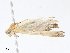  ( - CBG-A13249-G10)  @11 [ ] CreativeCommons - Attribution Share - Alike (2023) CBG Photography Group Centre for Biodiversity Genomics