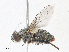  ( - CBG-A13250-C10)  @11 [ ] CreativeCommons - Attribution Share - Alike (2023) CBG Photography Group Centre for Biodiversity Genomics