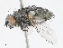  ( - CBG-A13251-C03)  @11 [ ] CreativeCommons - Attribution Share - Alike (2023) CBG Photography Group Centre for Biodiversity Genomics